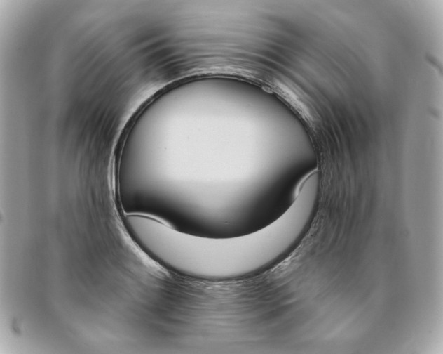 X0000096211084200802011316