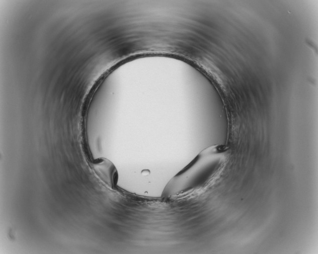 X0000096211085200802011316