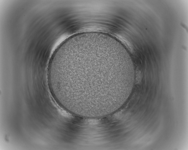 X0000096211086200802011316