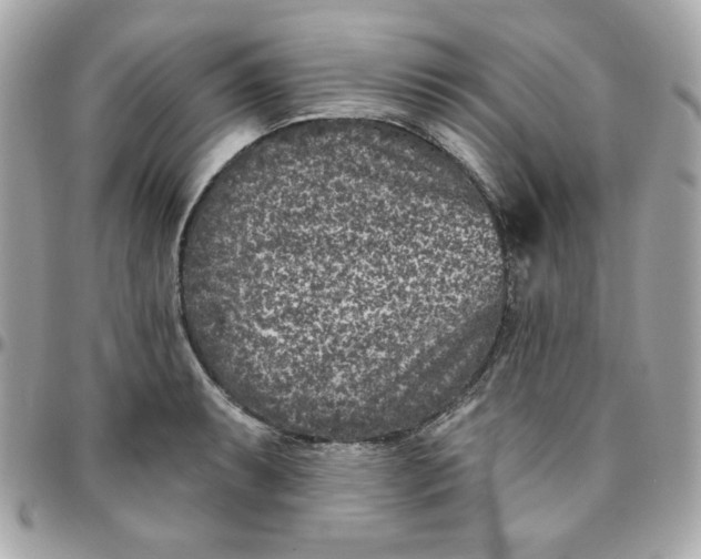 X0000096211087200802011316