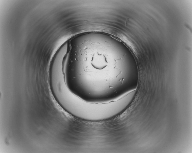 X0000096211088200802011316