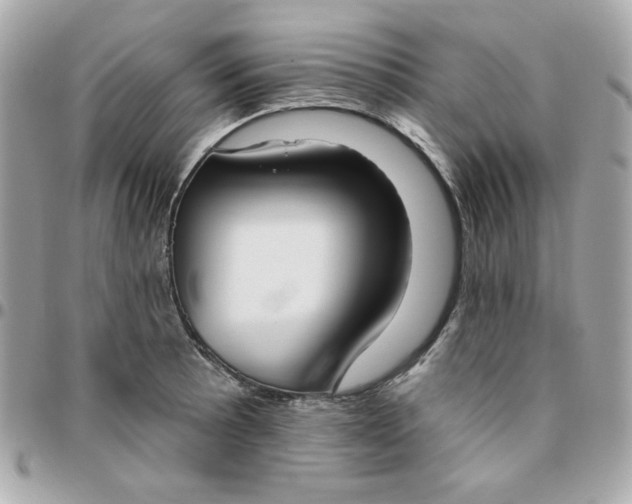 X0000096211089200802011316