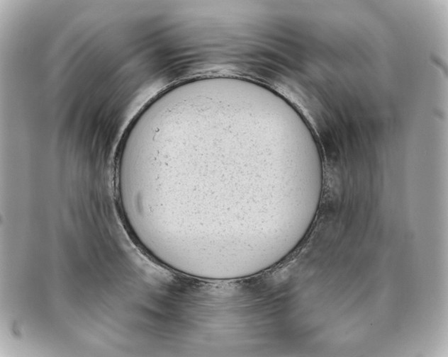 X0000096211090200802011316