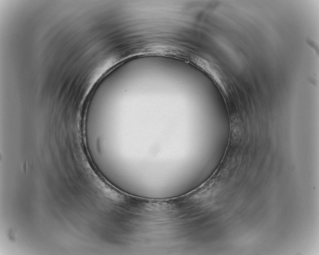 X0000096211091200802011316