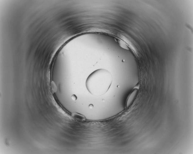 X0000096211092200802011316