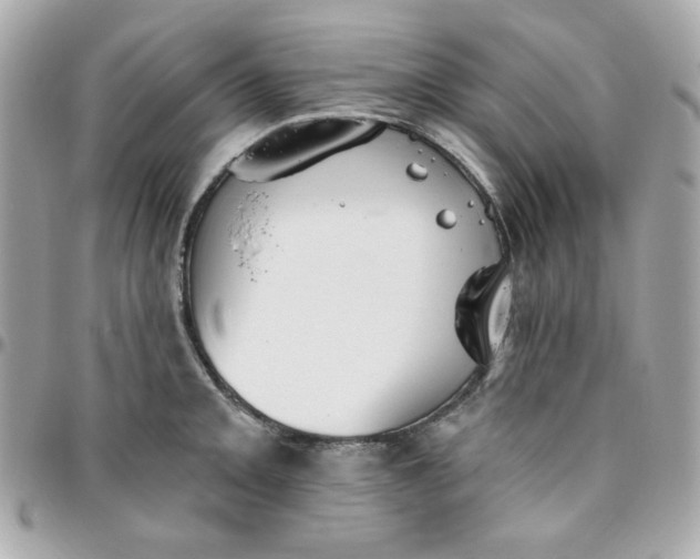 X0000096211093200802011316