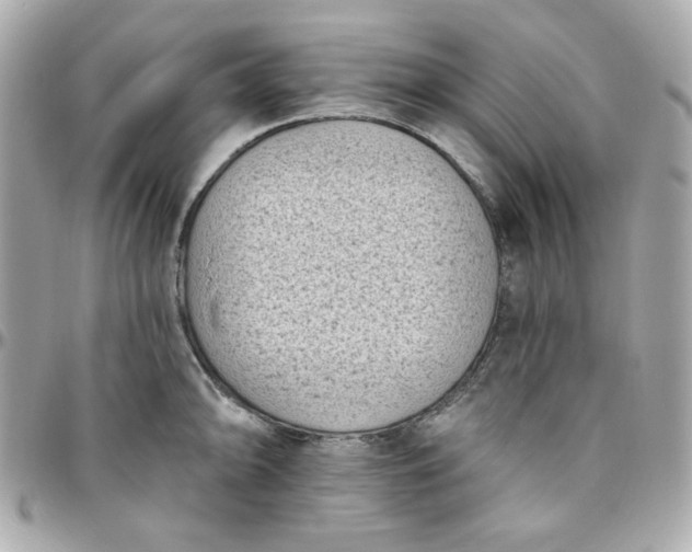 X0000096211094200802011316