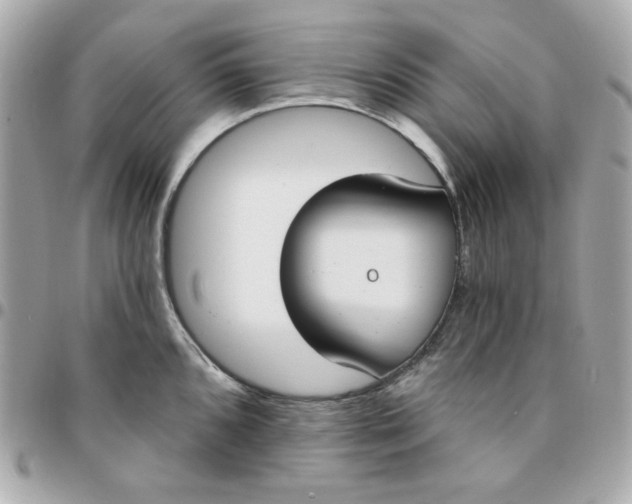 X0000096211096200802011316