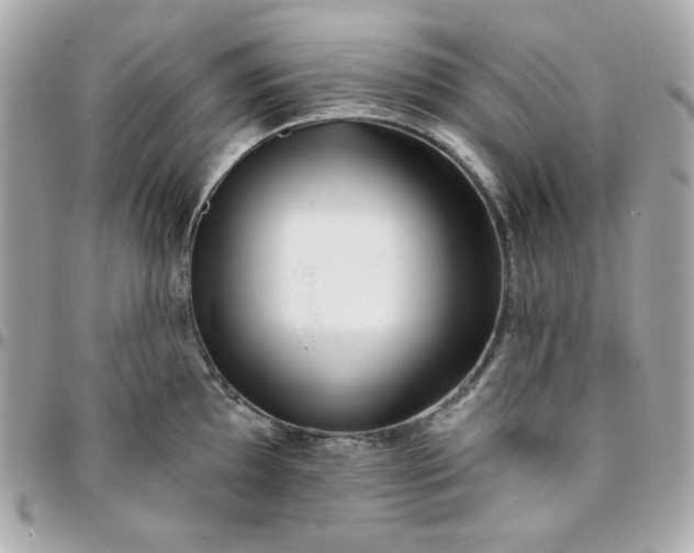 X0000096211097200802011316