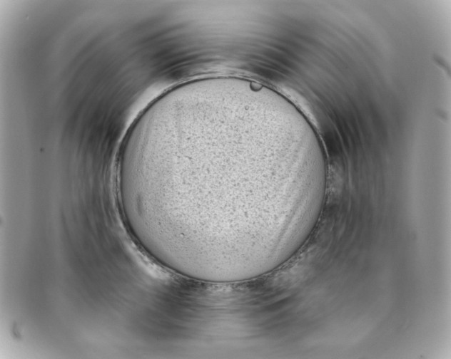 X0000096211098200802011316