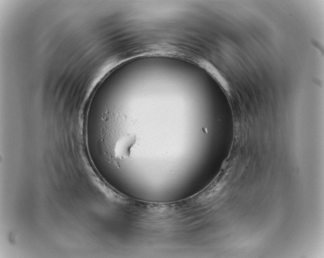 X0000096211099200802011316