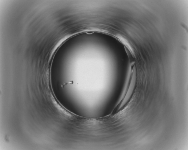 X0000096211100200802011316