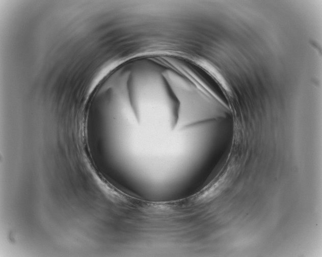 X0000096211101200802011316