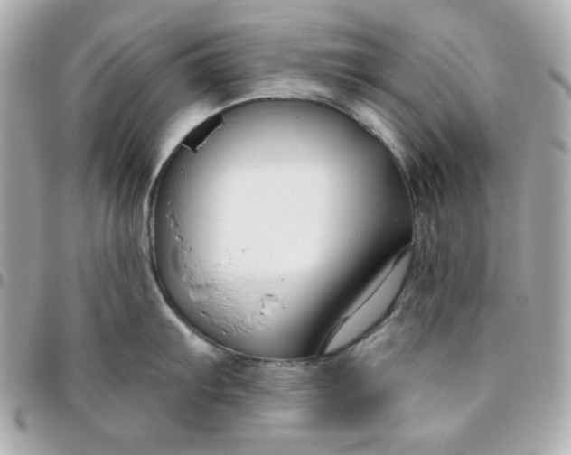 X0000096211103200802011316