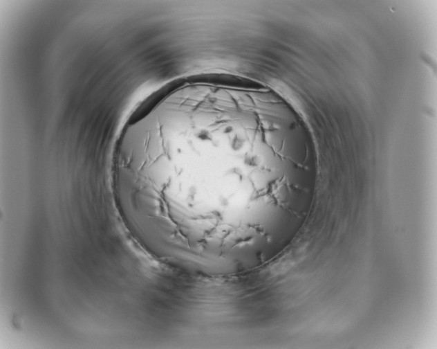 X0000096211104200802011316