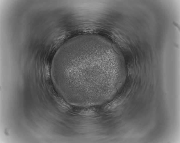 X0000096211106200802011315