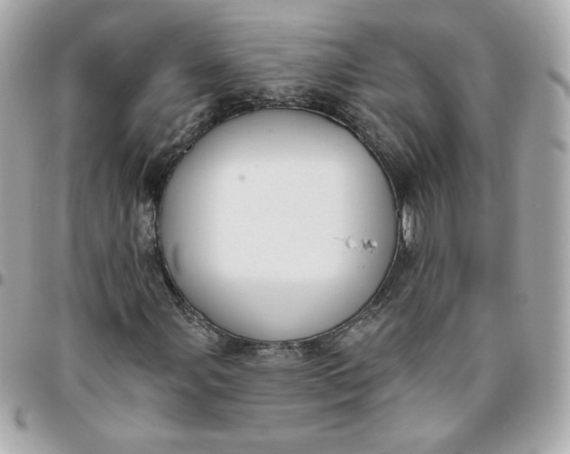 X0000096211107200802011315