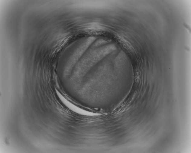 X0000096211108200802011315