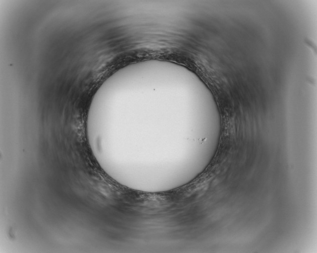 X0000096211109200802011315