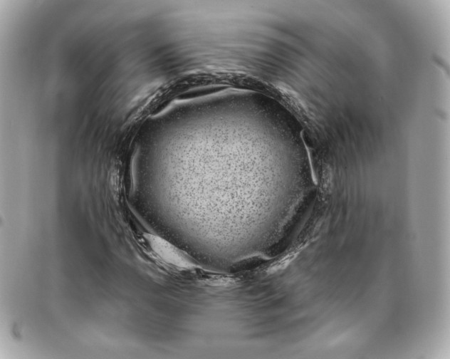 X0000096211110200802011315