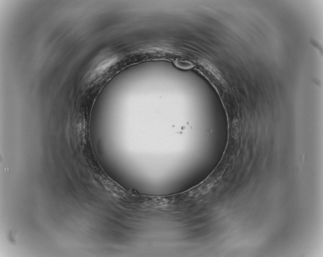 X0000096211111200802011315