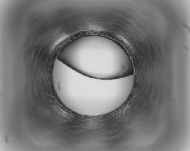 X0000096211112200802011315