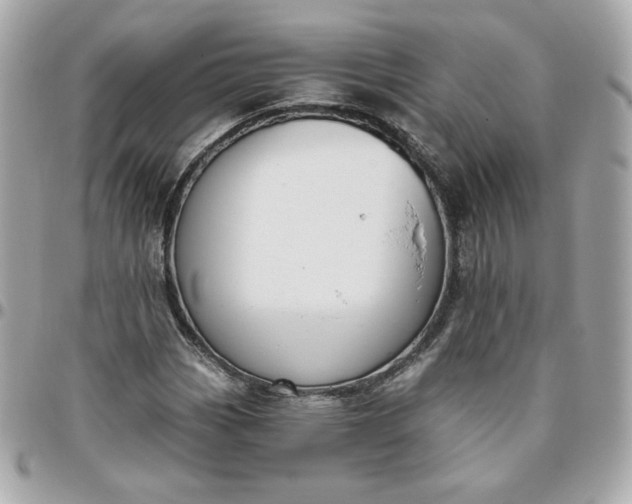 X0000096211113200802011315