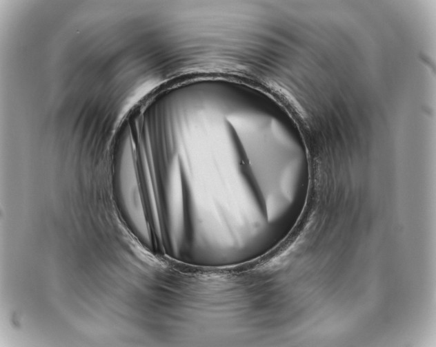 X0000096211114200802011315