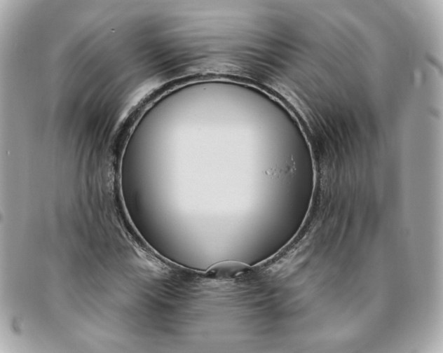 X0000096211115200802011315