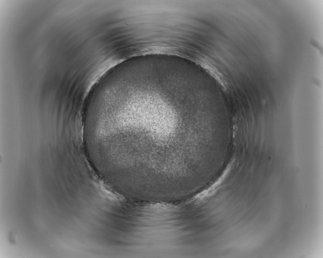 X0000096211117200802011315