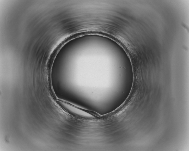 X0000096211118200802011315