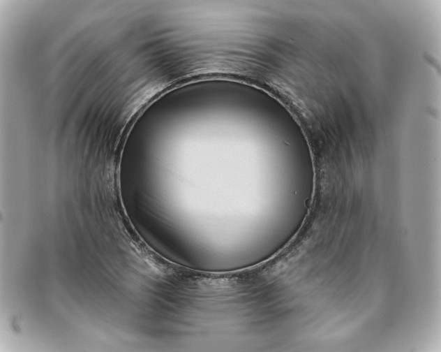 X0000096211121200802011315