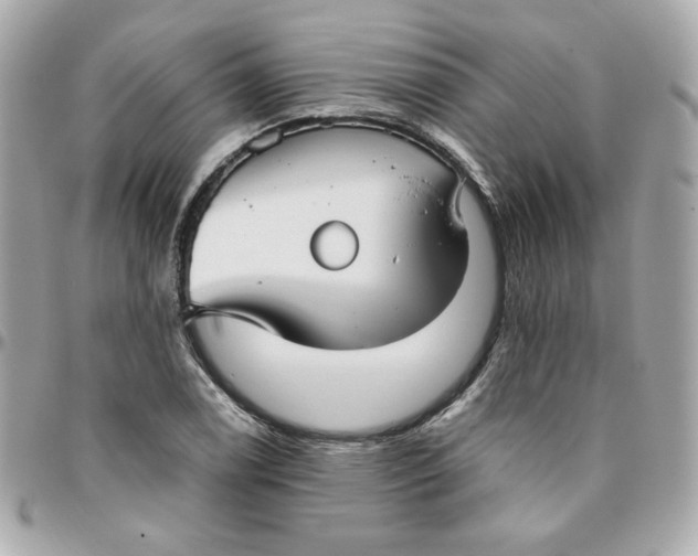 X0000096211122200802011315