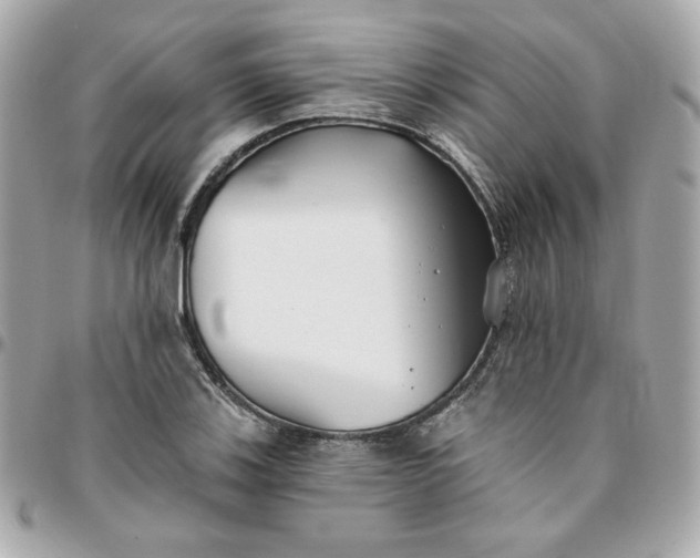 X0000096211123200802011315