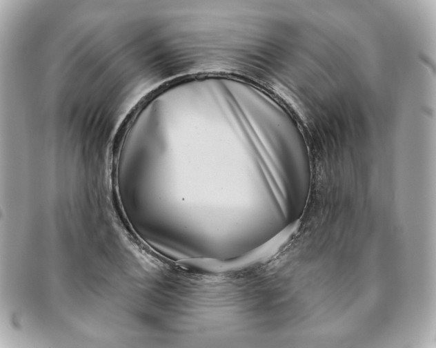 X0000096211124200802011315