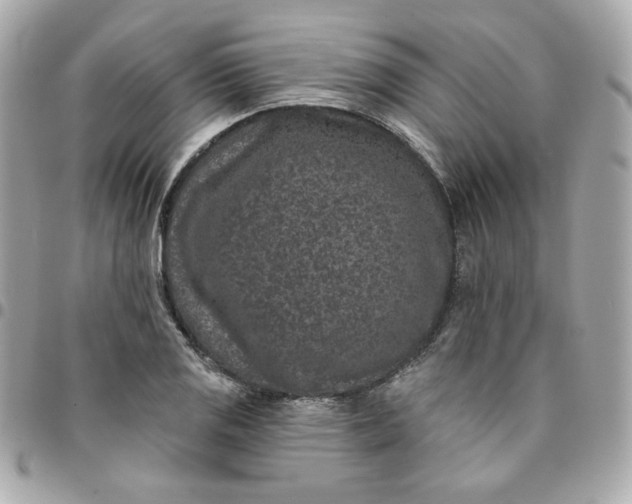 X0000096211125200802011315