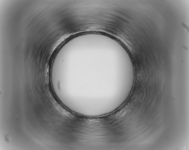 X0000096211126200802011315