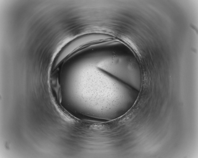 X0000096211128200802011315