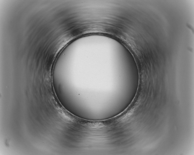 X0000096211129200802011315