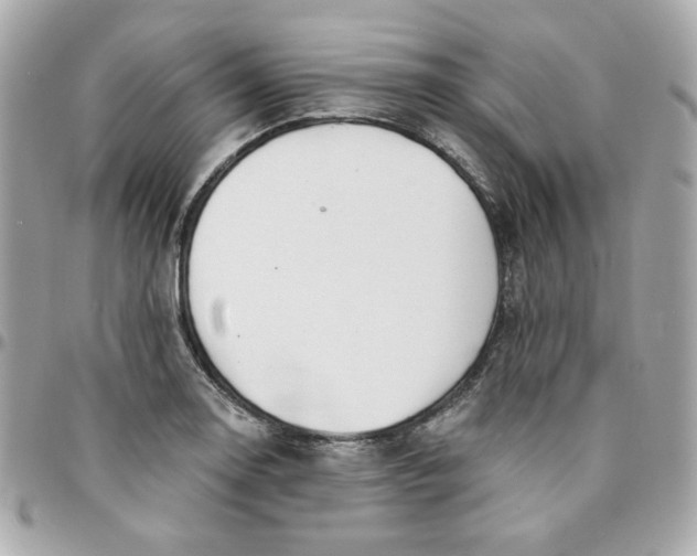 X0000096211130200802011315