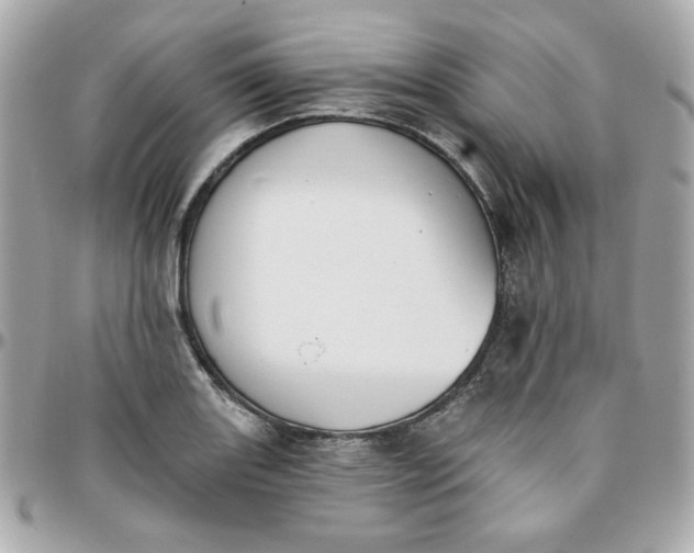 X0000096211131200802011315