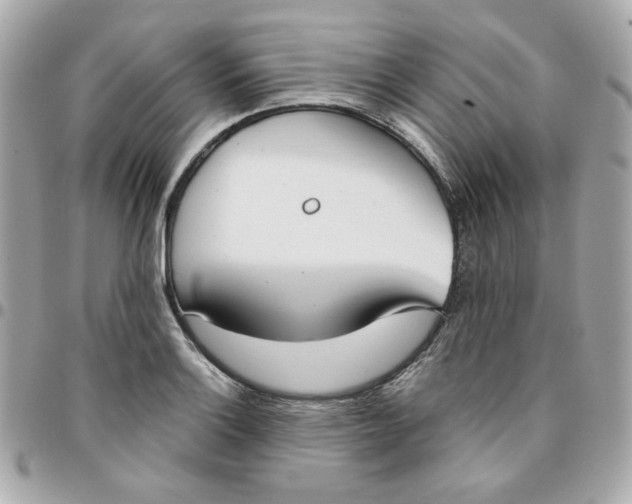 X0000096211132200802011315