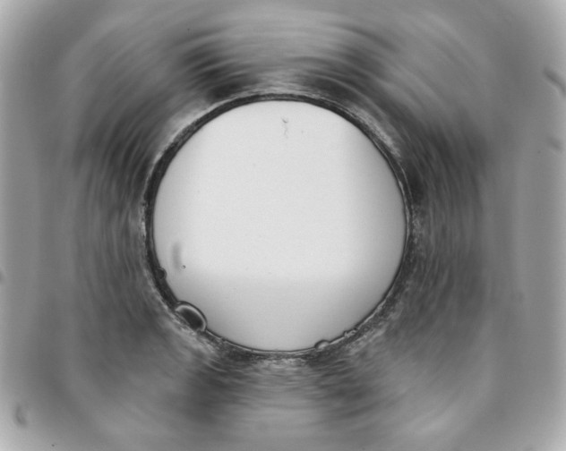 X0000096211133200802011315