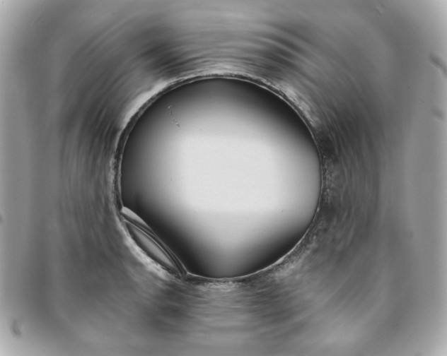 X0000096211134200802011315