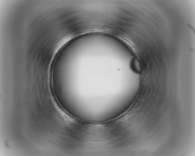 X0000096211135200802011316