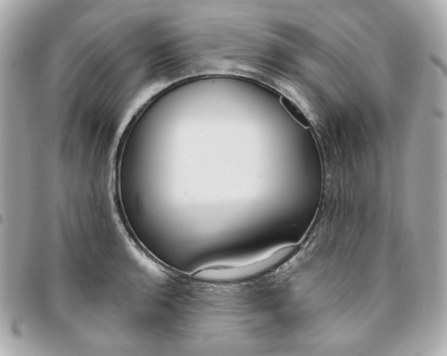 X0000096211136200802011316