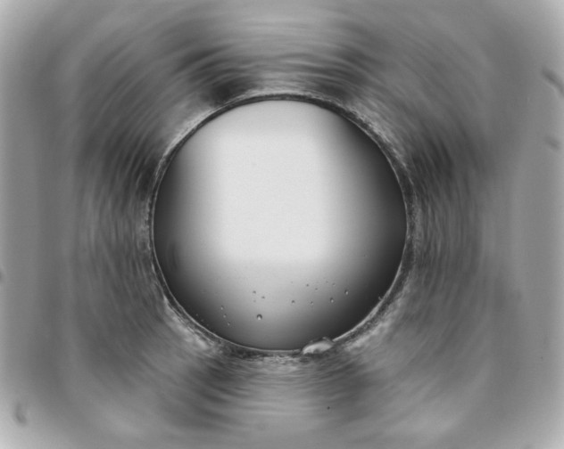 X0000096211137200802011316