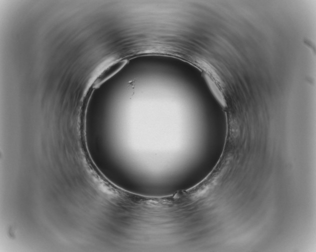 X0000096211138200802011316