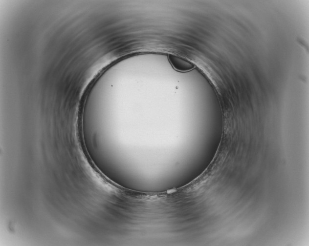 X0000096211139200802011316