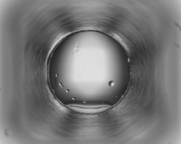 X0000096211140200802011316